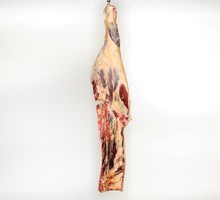 Meat Cut Spec Step 2